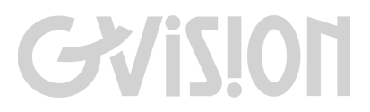 GVision USA Logo